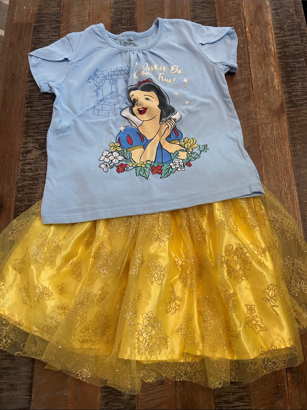 Disney Princess Snow White top and skirt